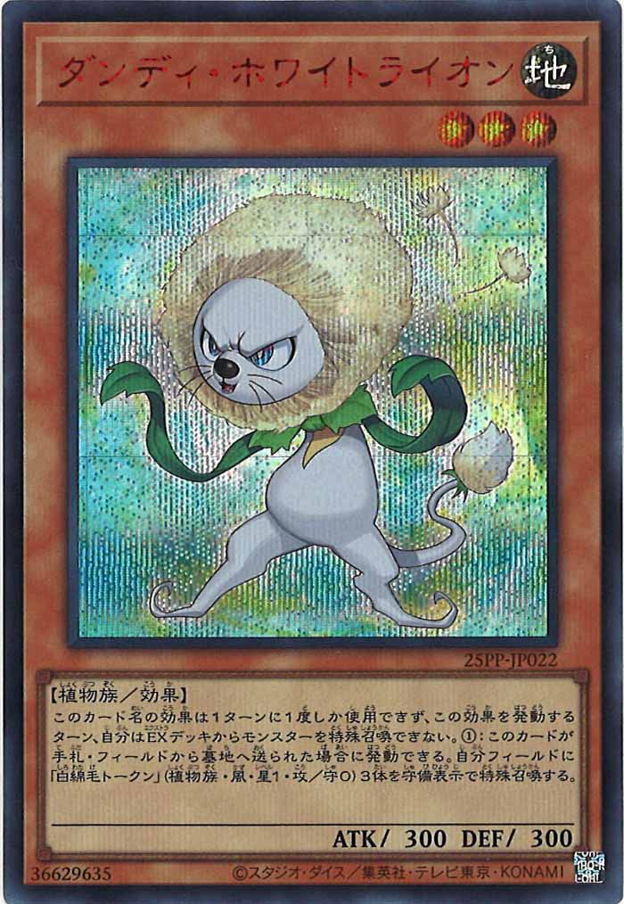 card_106607