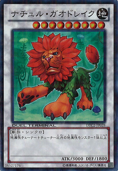 image_card_116629