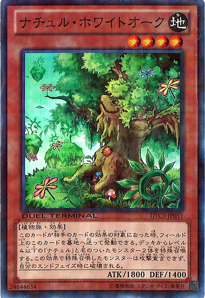image_card_116716