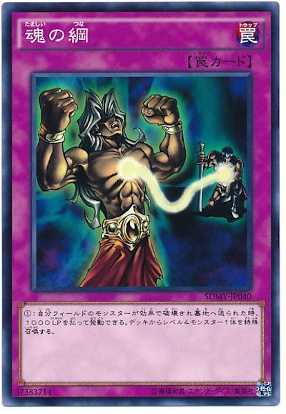 image_card_117522
