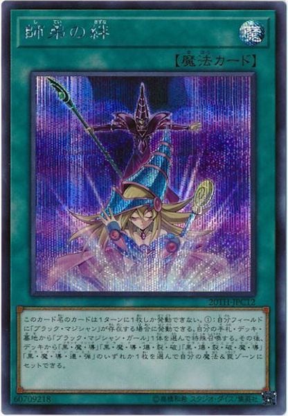 image_card_106469