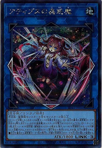image_card_107502