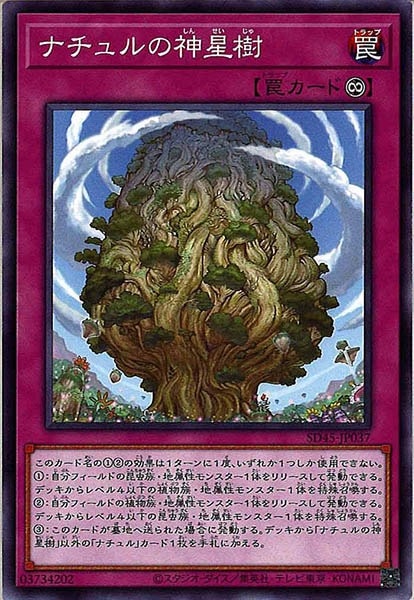 image_card_107599