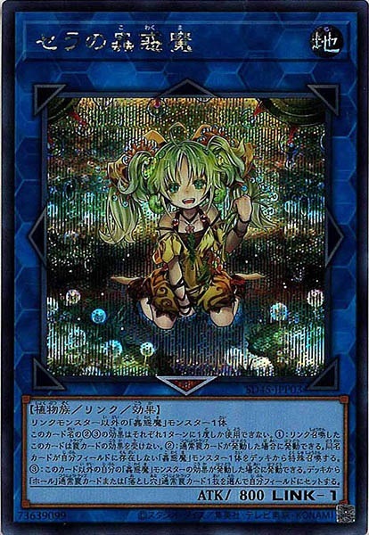 card_107878
