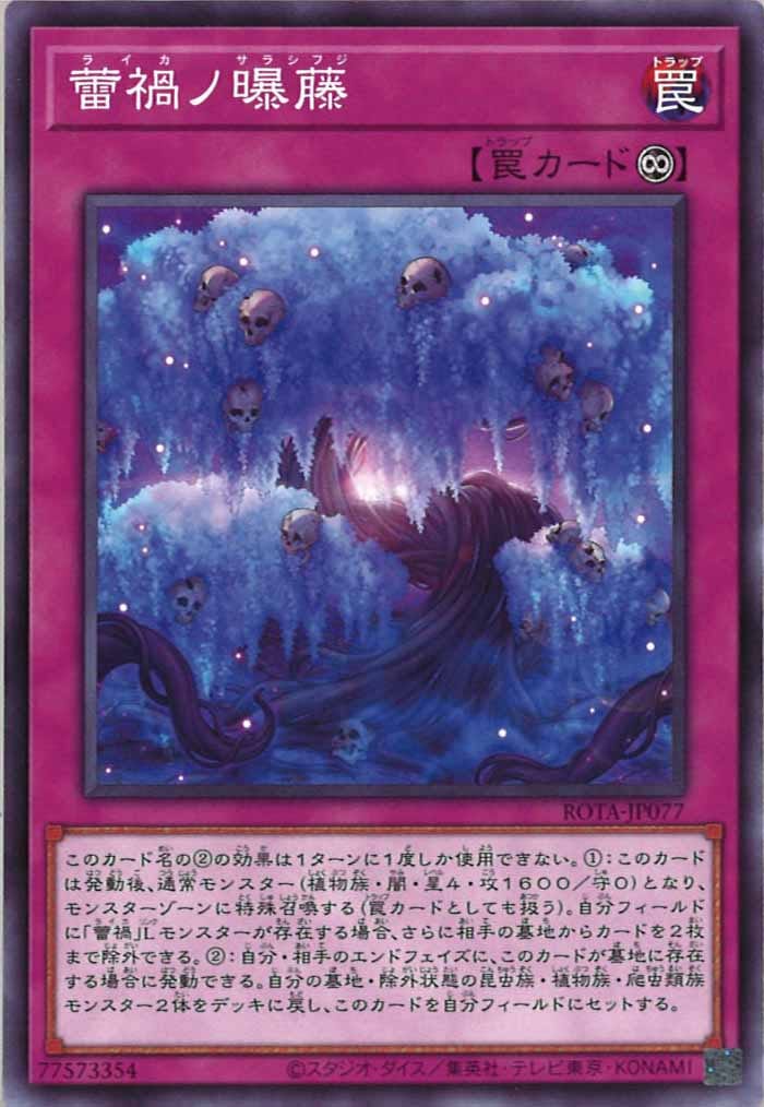 image_card_108206