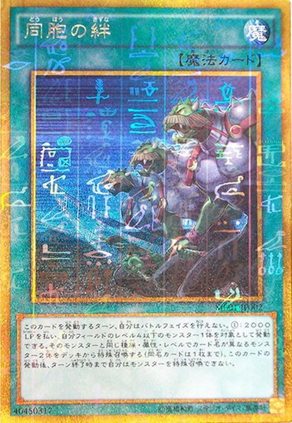 image_card_108367