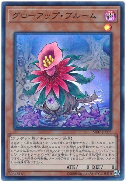 image_card_108512