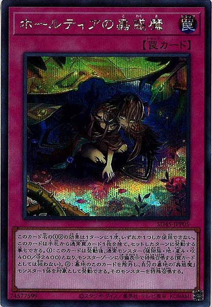 image_card_111541