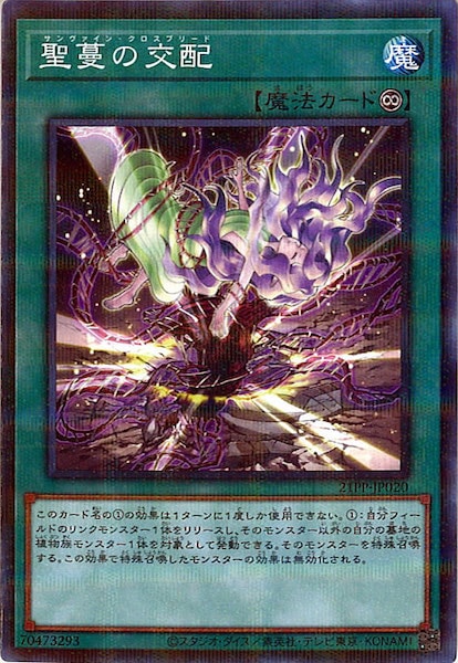 card_113319