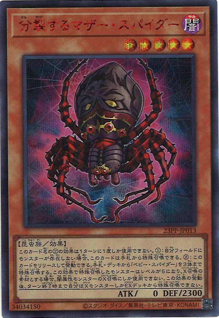 image_card_113331