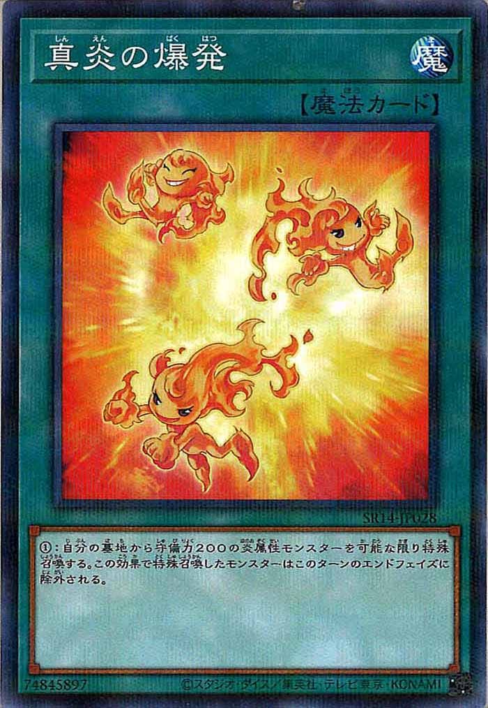 card_116446
