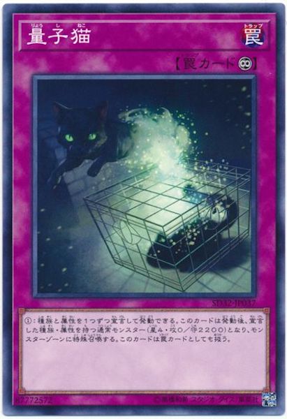 image_card_116449