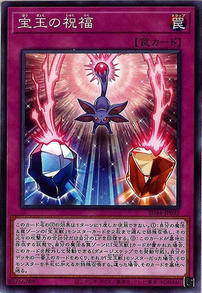 image_card_117371