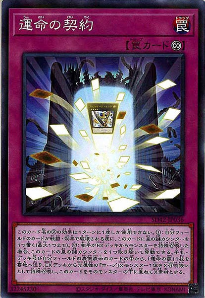 image_card_117381