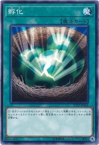 card_116281