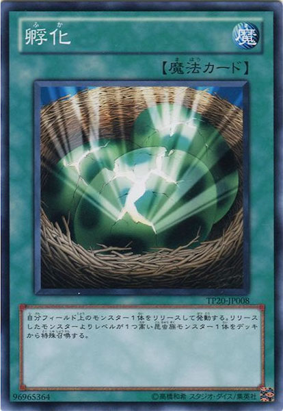 card_116281