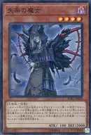 card_4454_