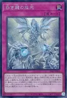 card_554