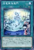 card_565