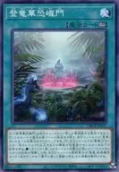 card_566