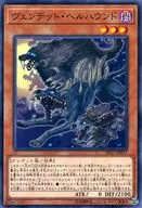 card_4988_series_11504_rarity_1_