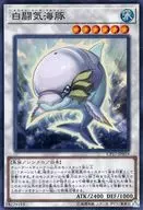 card_5239_