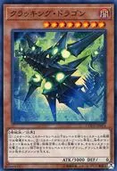 card_5256_