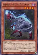 card_5343_