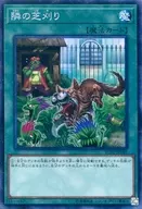 card_5583_series_10878_rarity_1299_