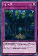 card_5594