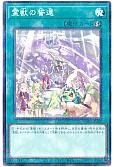 card_5600