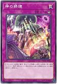 card_5620_