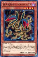 card_5775_