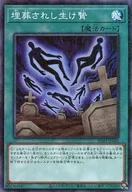 card_5812_