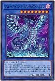card_5884_