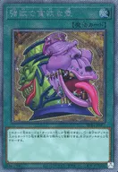 card_5930_series_5072_rarity_1021_
