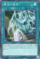 card_6012