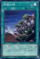 card_6137