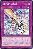 card_6669_