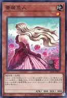 card_6733_series_3219_rarity_1_