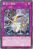 card_6811_