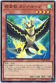 card_6858_series_1880_rarity_183_