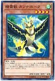 card_6858_series_11205_rarity_1_