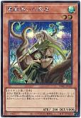 card_6881