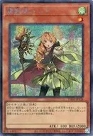 card_6882