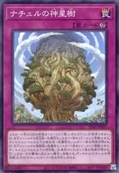 card_7026_series_3219_rarity_1_