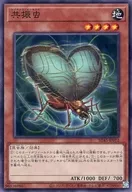 card_7209_series_3219_rarity_1_