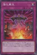 card_7325_