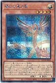 card_902_