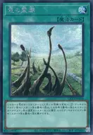 card_7629